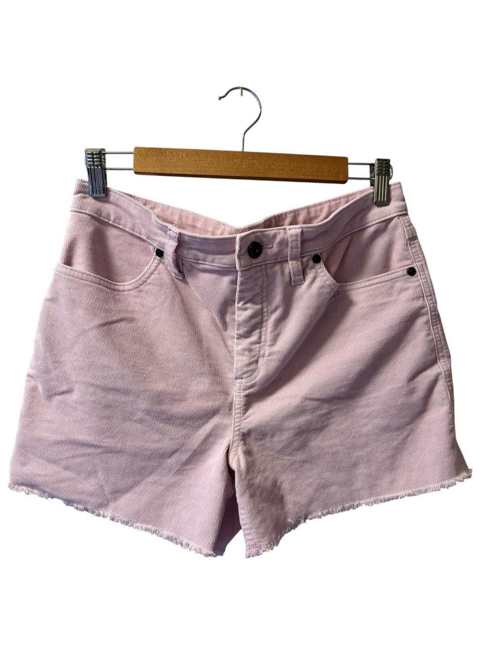Carve Design: Dogtown Short size 8